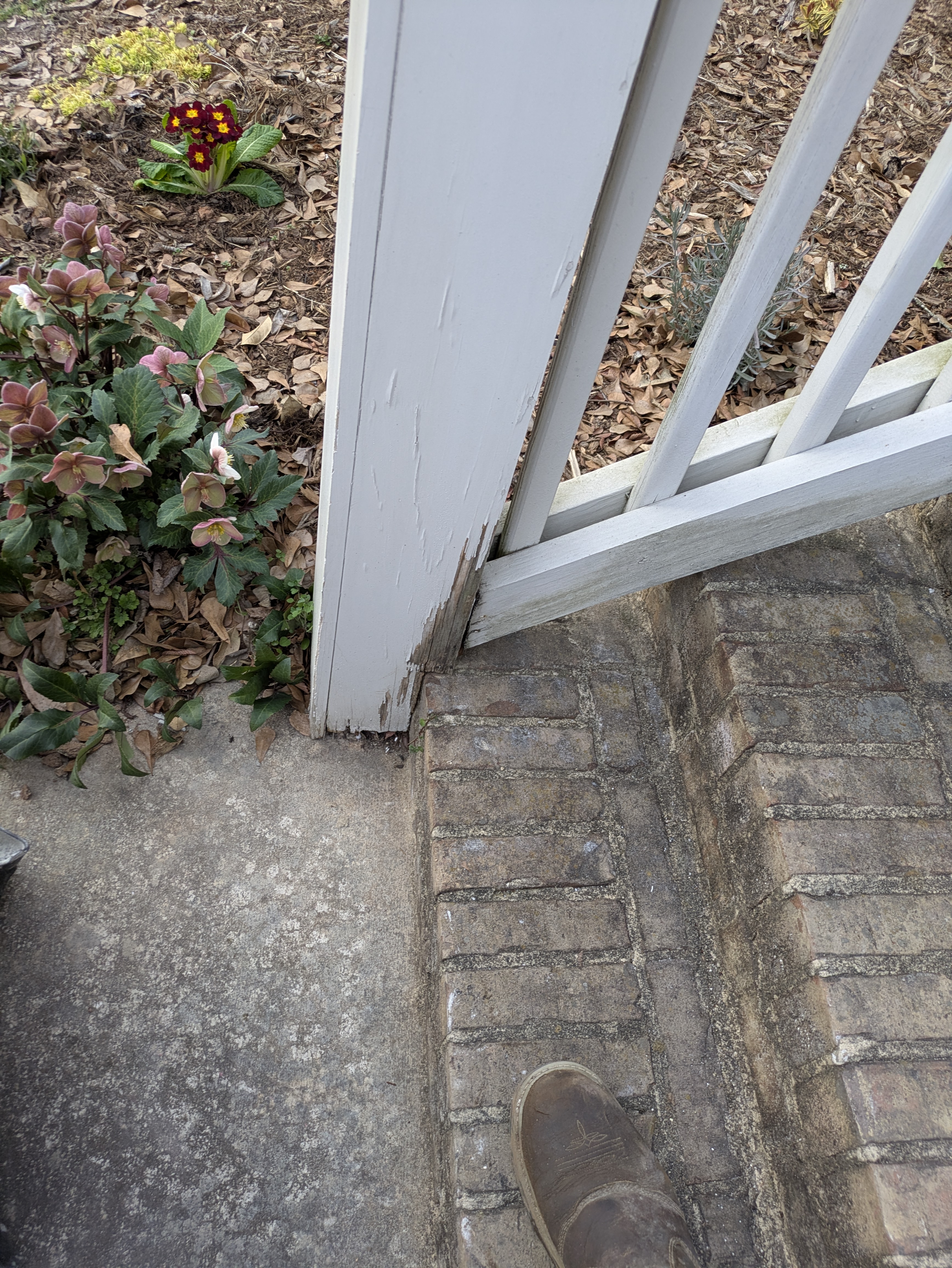 New trim boards around an exterior door in Normaltown